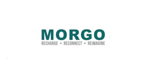 Morgo Networking Drinks (Wellington)