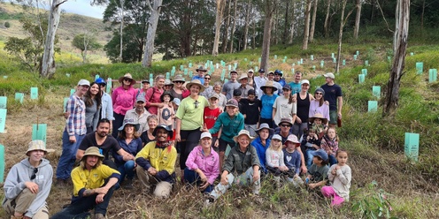 Tuan Environment Reserve - Community Koala Tree Planting
