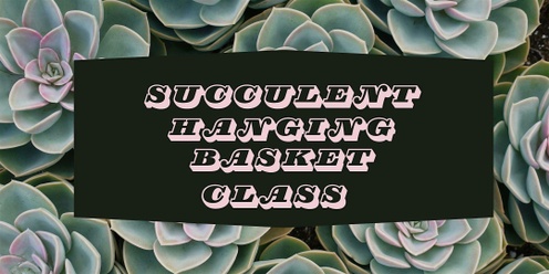 Succulent Hanging Basket Workshop