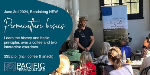 Permaculture Basics - 2-hour workshop (Inlcudes a coffee, snack and plant to take home) Bendalong NSW