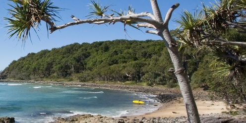 Digital Future of Work - Sunshine Coast