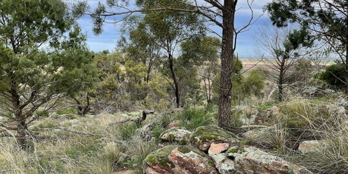 Warrawong Women's Nourishing Retreat 18082024