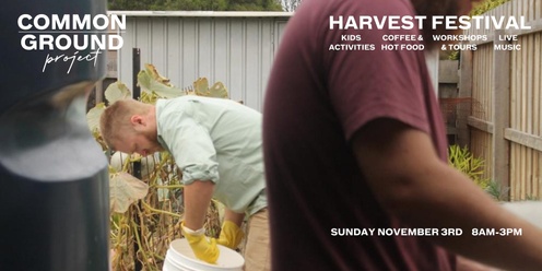 Fun with Fungi Workshop at the Harvest Festival