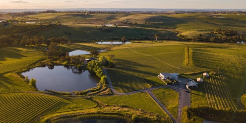 From Vine to Wine. Producers vineyard tour, wine tasting & matched food