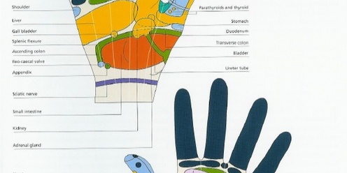 Hand reflexology for all