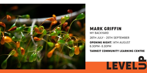 Level up - Exhibition opening -  My Backyard by Mark Griffin