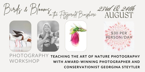 Birds and Blooms - Photography workshops with Georgina Steytler