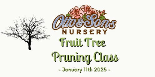 Fruit Tree Pruning Class 2025