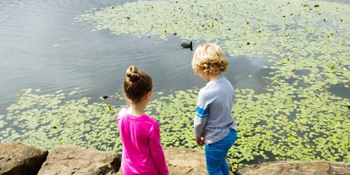 Wild Water Dreaming at Mount Annan