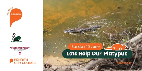 Let's Help Our Platypus