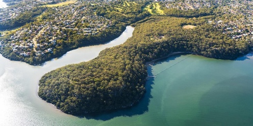 Connect to Country for Wellbeing at Oatley Park