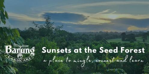 Sunsets at the Seed Forest - May 2024