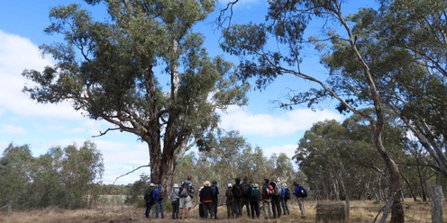 Victorian Reserves Guided Visits - Fri 20 and Sat 21 September 2024