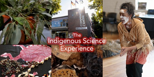 Indigenous Science Experience at Redfern Community Open Day