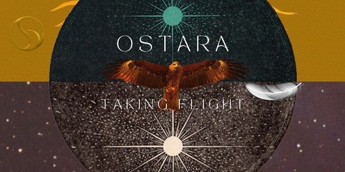 OSTARA taking flight