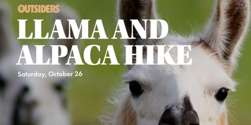 Llama & Alpaca Hike 