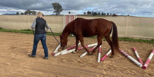 August Aussie Obstacles & Horsemanship Mini Challenge