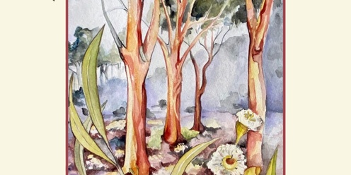  Eucalyptus Discovery with Nathan McQuoid