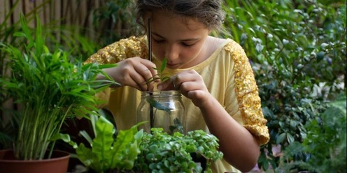 Rainforest in a Jar - Royal Botanic Garden Sydney