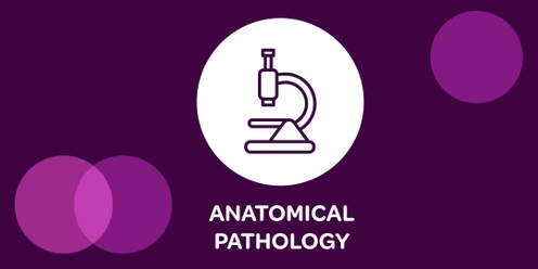 Introductory Workshop in Diagnostic Immunohistochemistry