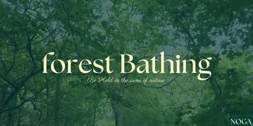 Forest Bathing Taster Session