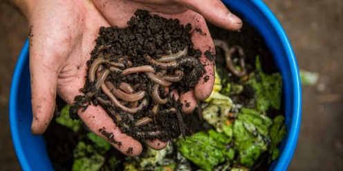 Common Thread - Composting and worm farming 