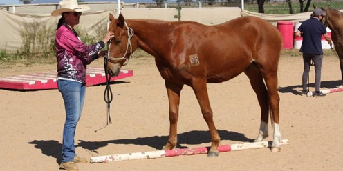 October Halloween Aussie Obstacles & Horsemanship Mini Challenge