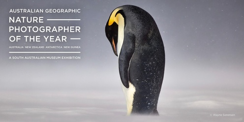 2024 Australian Geographic Nature Photographer of the Year Exhibition