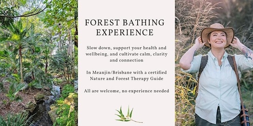 Forest Bathing - Experience A Mindful Wander in Nature (Brisbane)