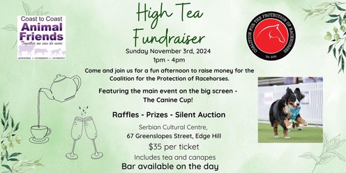 High Tea for Racehorses Fundraiser Featuring the Canine Cup 2024