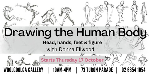 Drawing the Human Body: head, hands, feet & figure with Donna Ellwood (6 Weeks) 24T4