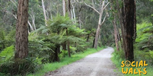 Melbourne Social Walks - Warburton Rail Trail - Easy 12km