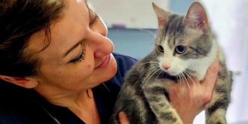 RSPCA Cat Vaccination Event at Tarneit Community Learning Centre -- NOV