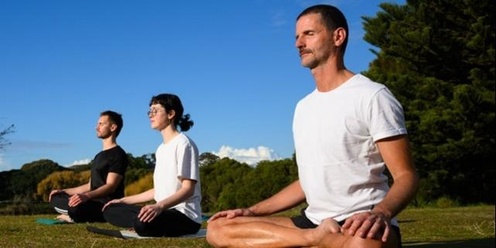 Morning Yoga in Wistaria Gardens