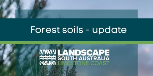 Forest soils - an update.