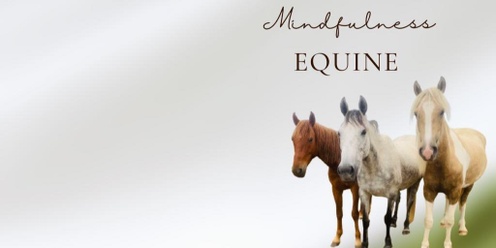 Equine Sound and Mindfulness Experience #4 Sat02Nov2024