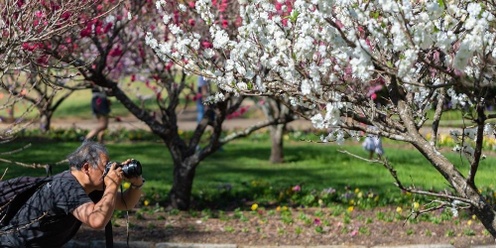 Learn from the Expert: Flower Photography in Wistaria Garden  