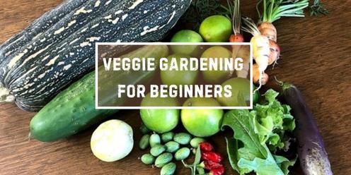 Veggie Gardening for Beginners