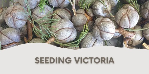 Seeding Victoria 2024 AGM