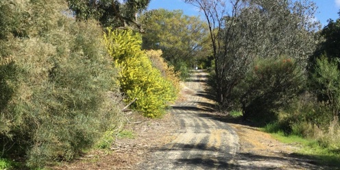 Bird Lover walk at Naracoorte Parklands