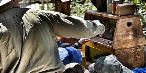 Learn Beekeeping at Osborne Library