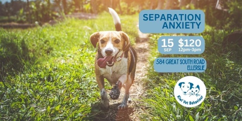Separation Anxiety in Companion Animals