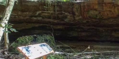 Burrill Lake Rock Shelter Walk