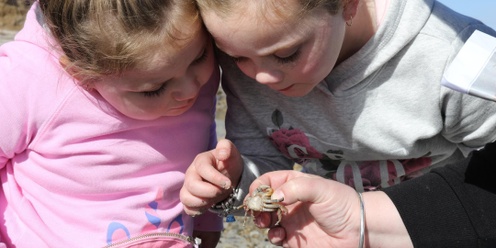 Beach Detectives at Aldinga