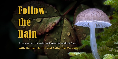 Follow the Rain - Feature Documentary about the Wonder of Fungi - HOBART