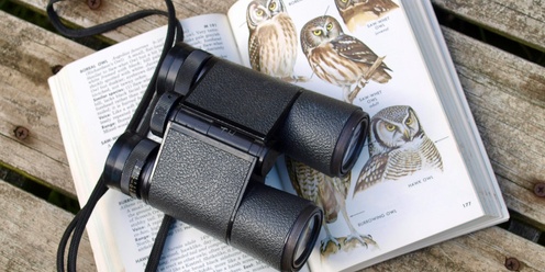 MoR Birdwatching Workshops