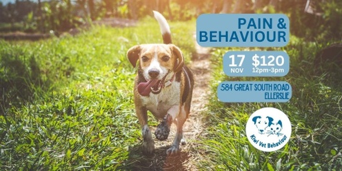 Pain and Behaviour in Companion Animals