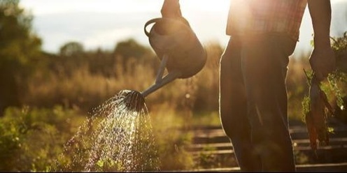 Edible Gardening Workshop with Craig Castree