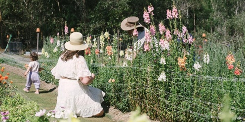 Spring Flower Picking - Nov 23rd 