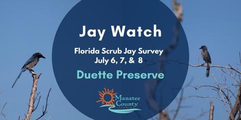 Duette Jay Watch